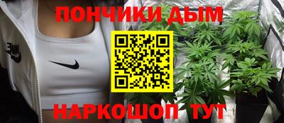 хмурый Дубна