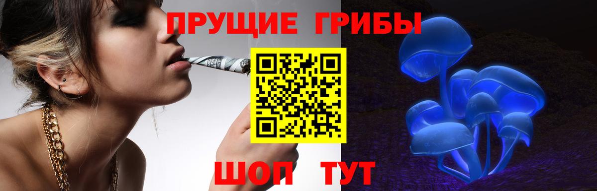 Псилоцибиновые грибы мицелий  Вход с VPN  Котовск 